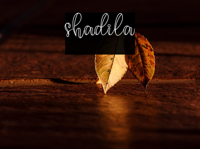 shadila Example 3