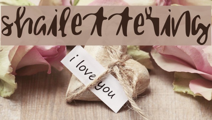 shailettering Font examples