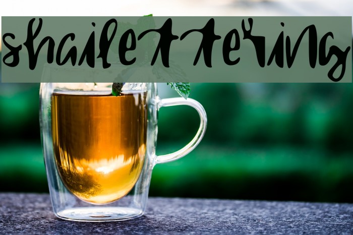 shailettering Font examples
