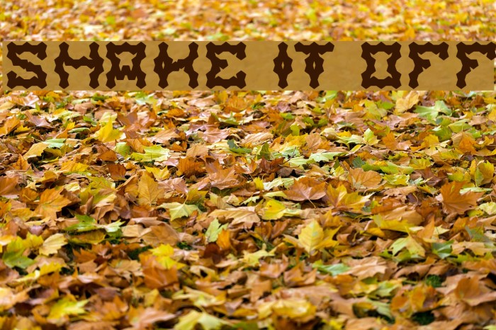 shake it off Example 3