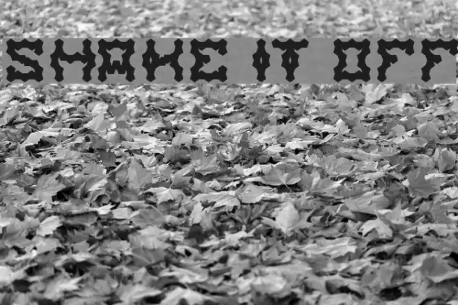 shake it off Font examples