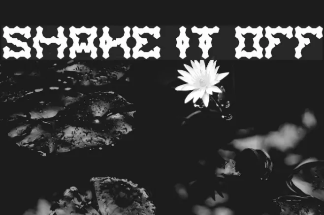 shake it off Example 3
