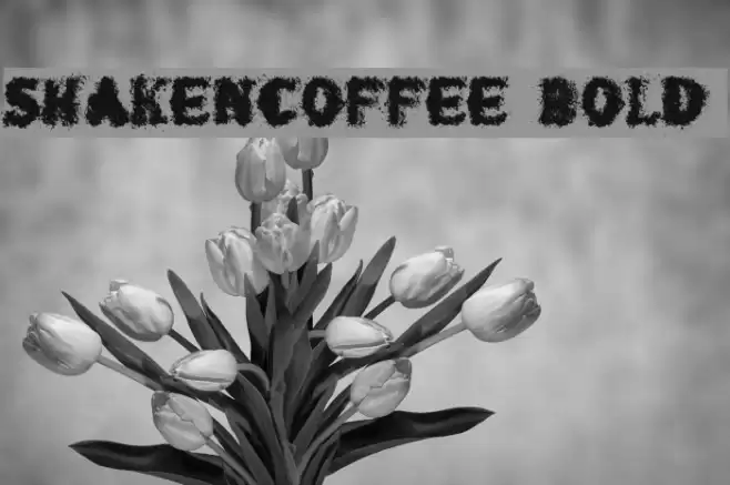 shaken_coffee Bold Font examples