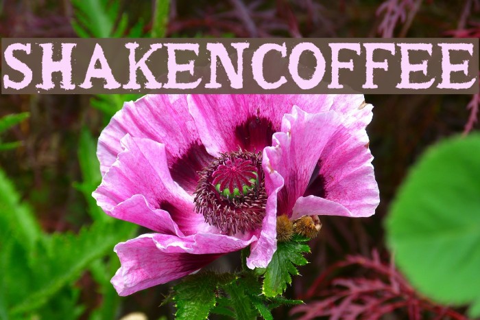 shaken_coffee Example 2