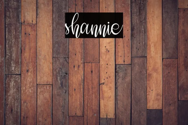 shannie Example 1