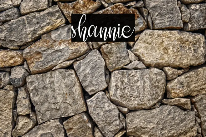 shannie Example 2