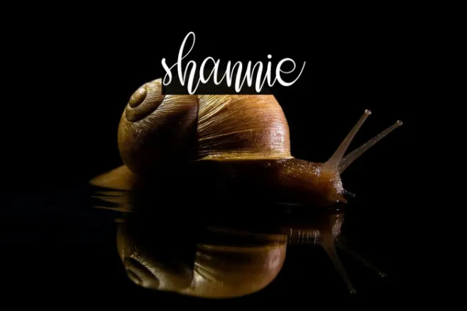 shannie Example 3