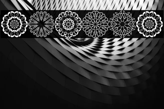 shapes Example 1