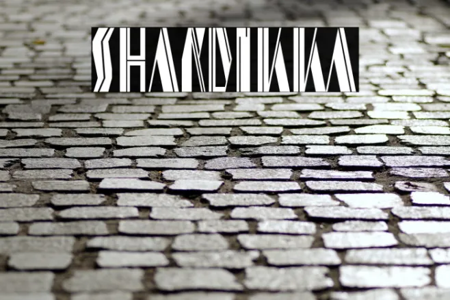 shardikka Example 1
