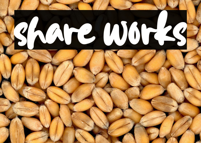 share works Example 1