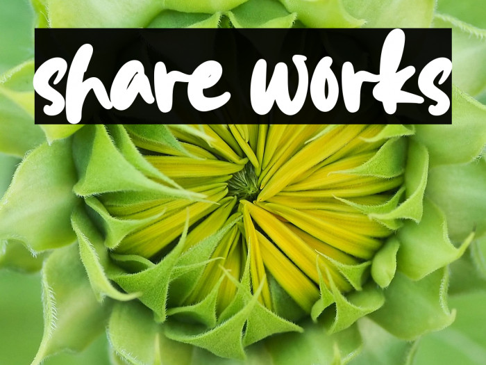 share works Example 2