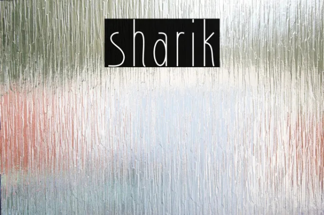 sharik Example 1