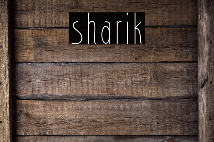 sharik Font examples