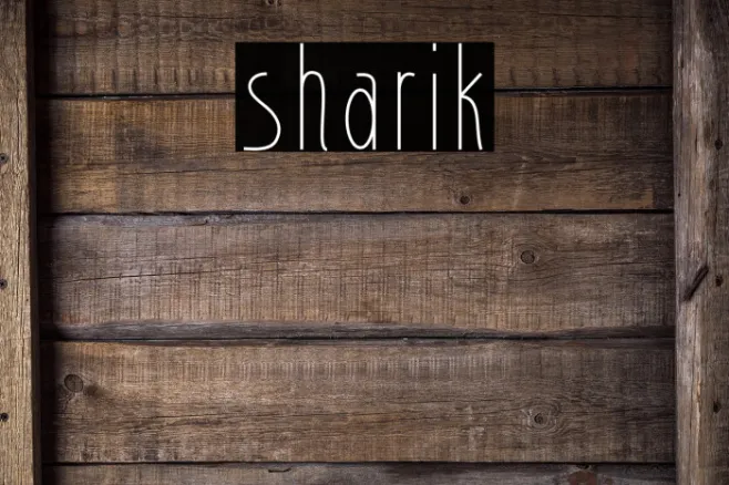 sharik Example 2
