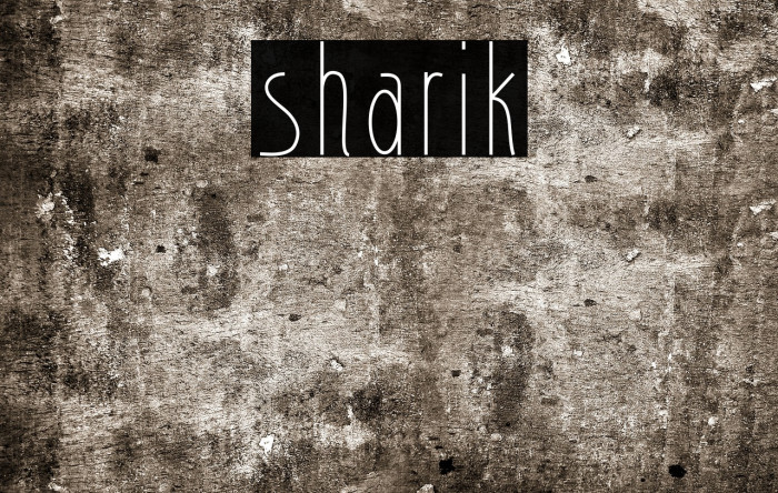 sharik Font examples