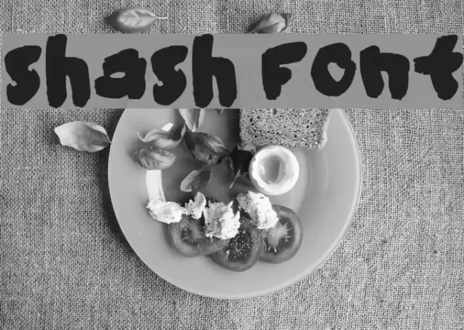 shash Font examples
