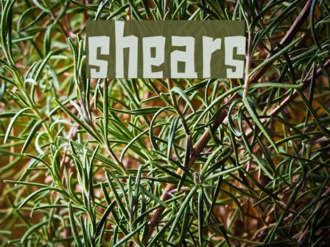 shears Example 2