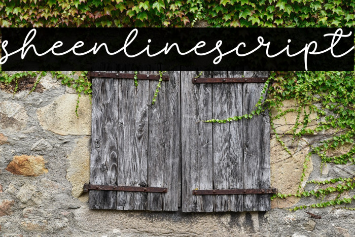 sheenlinescript Example 2