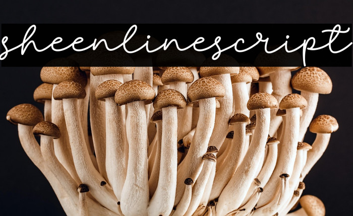 sheenlinescript Example 3