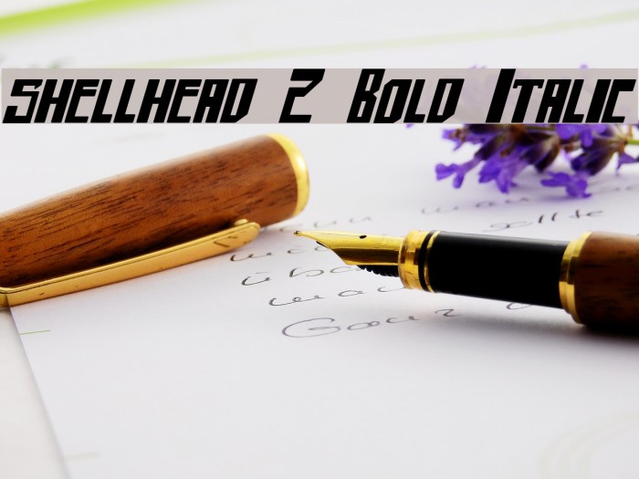 shellhead 2 Bold Italic Font examples