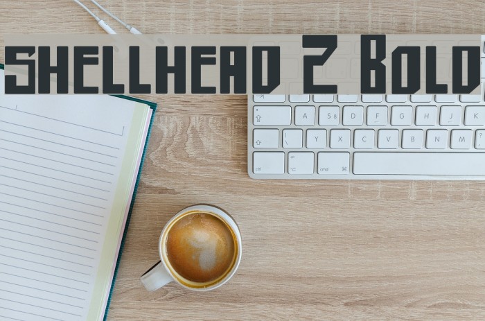 shellhead 2 Bold Example 2