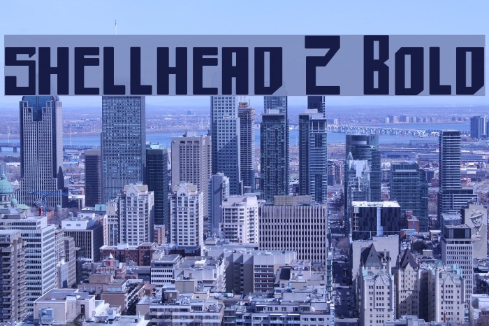 shellhead 2 Bold Example 3