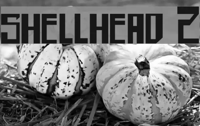 shellhead 2 Font examples