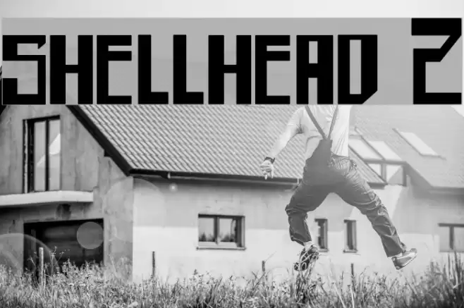 shellhead 2 Font examples