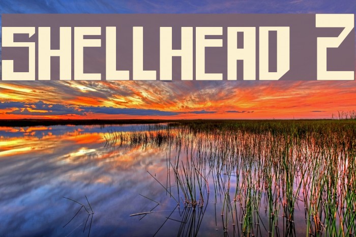 shellhead 2 Font examples