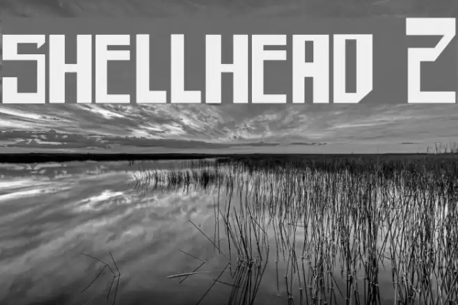 shellhead 2 Font examples