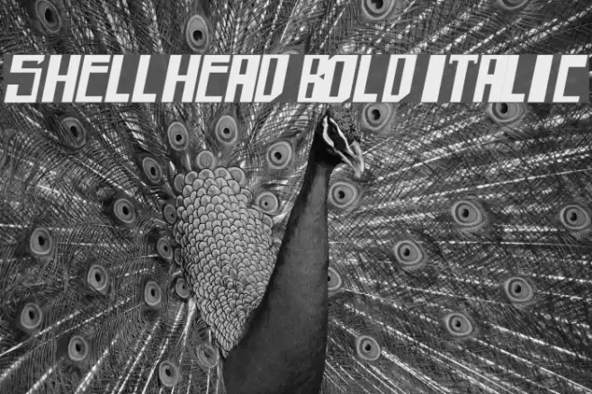 shellhead Bold Italic Font examples