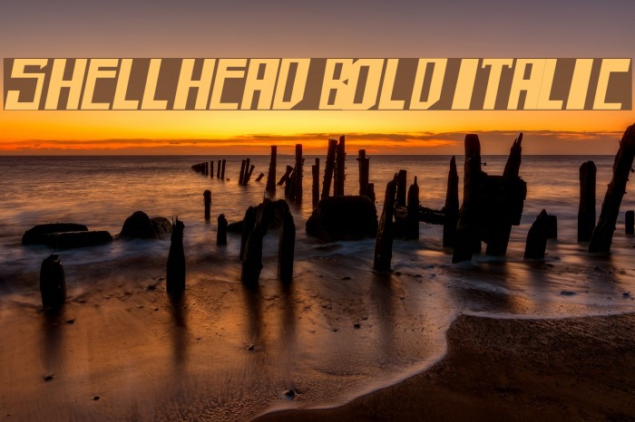 shellhead Bold Italic Шрифта examples