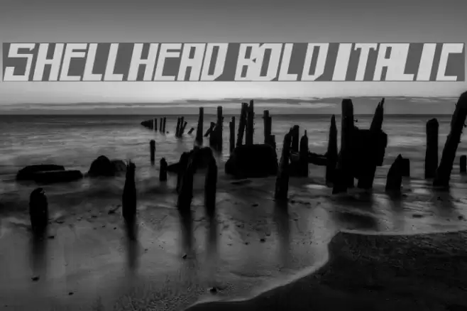 shellhead Bold Italic Font examples