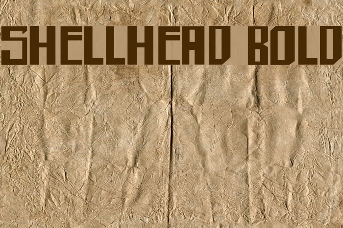 shellhead Bold Example 1
