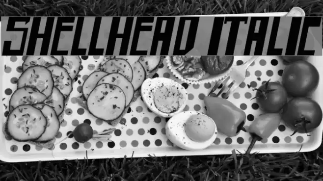 shellhead Italic Caratteri examples