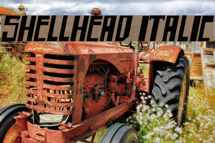 shellhead Italic Caratteri examples