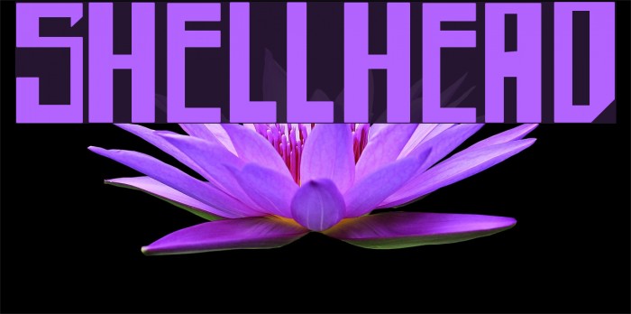 shellhead Font examples
