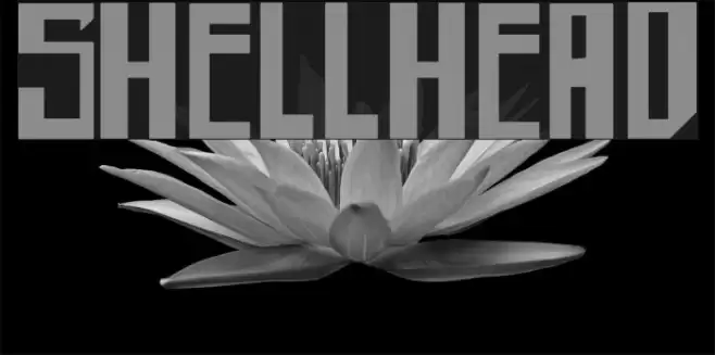 shellhead Font examples