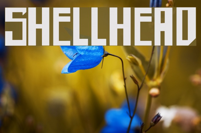 shellhead Font examples