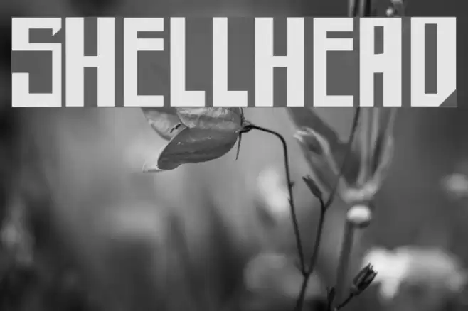 shellhead Font examples