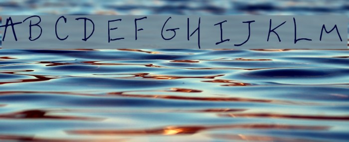 shellie Font examples