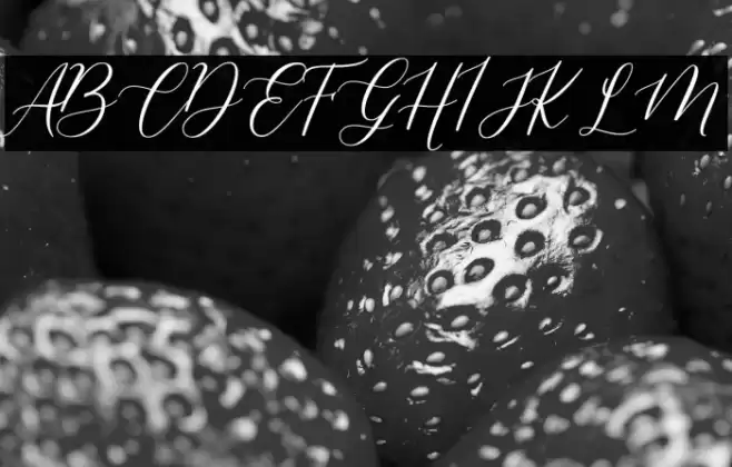 shelline Font examples