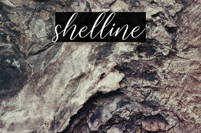 shelline Example 2