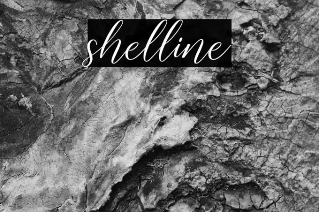 shelline Font examples