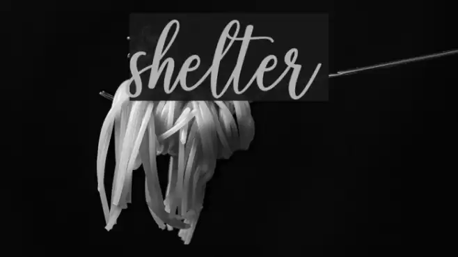 shelter Font examples