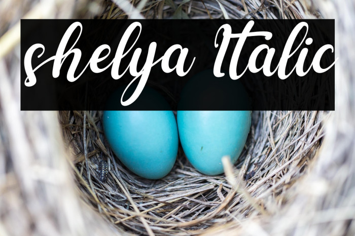 shelya Italic Example 3