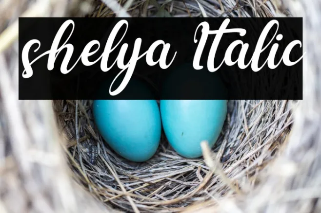 shelya Italic Example 3