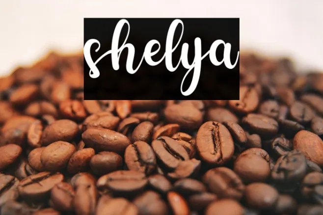shelya Example 1