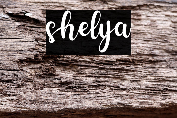 shelya Example 2