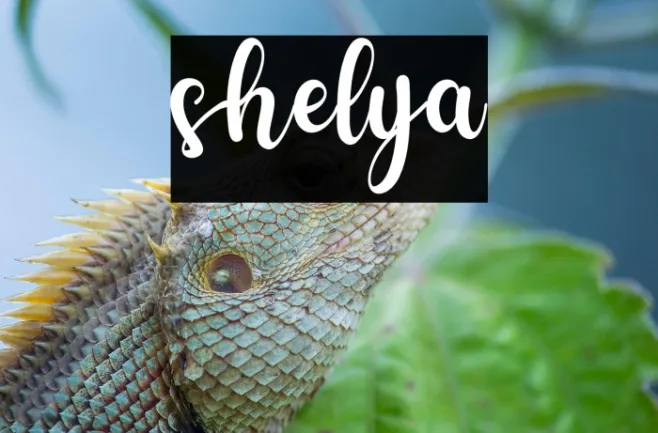 shelya Example 3